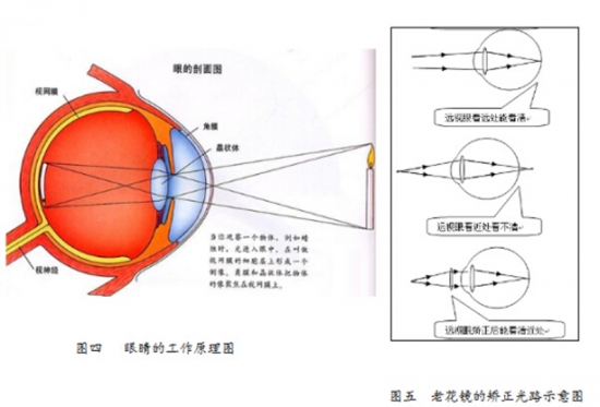 美麗島眼鏡：老花鏡不可隨意亂帶，需要在專業(yè)驗(yàn)光后科學(xué)配制